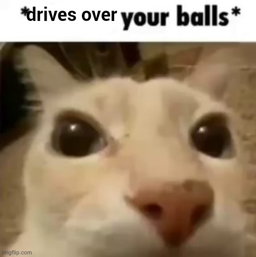 real | drives over | image tagged in x your balls | made w/ Imgflip meme maker