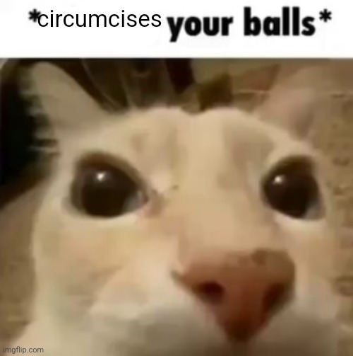 Don't ask how, you don't wanna know | circumcises | image tagged in x your balls | made w/ Imgflip meme maker