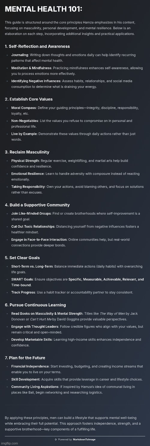 Hamza - Mental Health :> | image tagged in simothefinlandized,hamza,infographic,tutorial,mental health | made w/ Imgflip meme maker