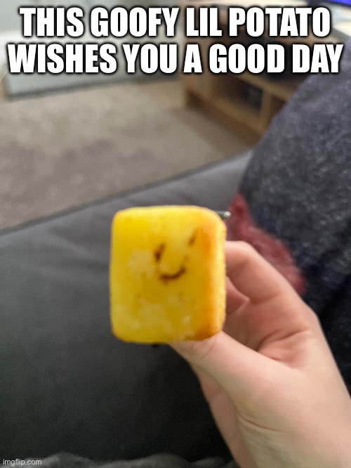 Silly lil potato | THIS GOOFY LIL POTATO WISHES YOU A GOOD DAY | image tagged in potato,derpy | made w/ Imgflip meme maker