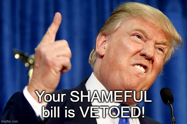 Donald Trump | Your SHAMEFUL bill is VETOED! | image tagged in donald trump | made w/ Imgflip meme maker