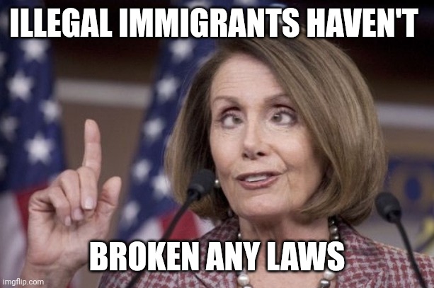 Nancy pelosi | ILLEGAL IMMIGRANTS HAVEN'T BROKEN ANY LAWS | image tagged in nancy pelosi | made w/ Imgflip meme maker