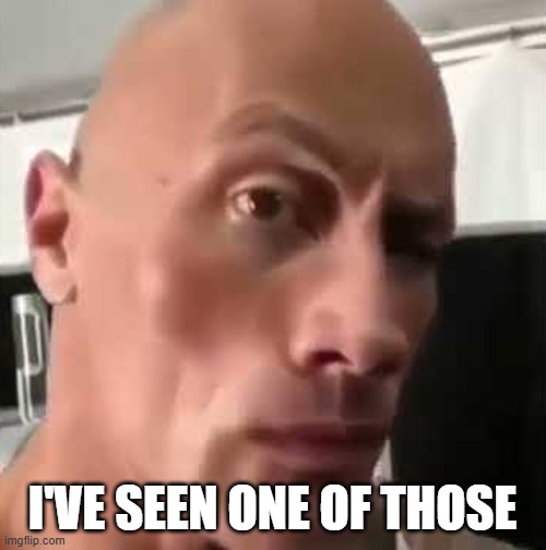 Ayo that’s kinda sus ngl | I'VE SEEN ONE OF THOSE | image tagged in ayo that s kinda sus ngl | made w/ Imgflip meme maker