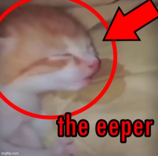 He eepy | image tagged in eepy | made w/ Imgflip meme maker