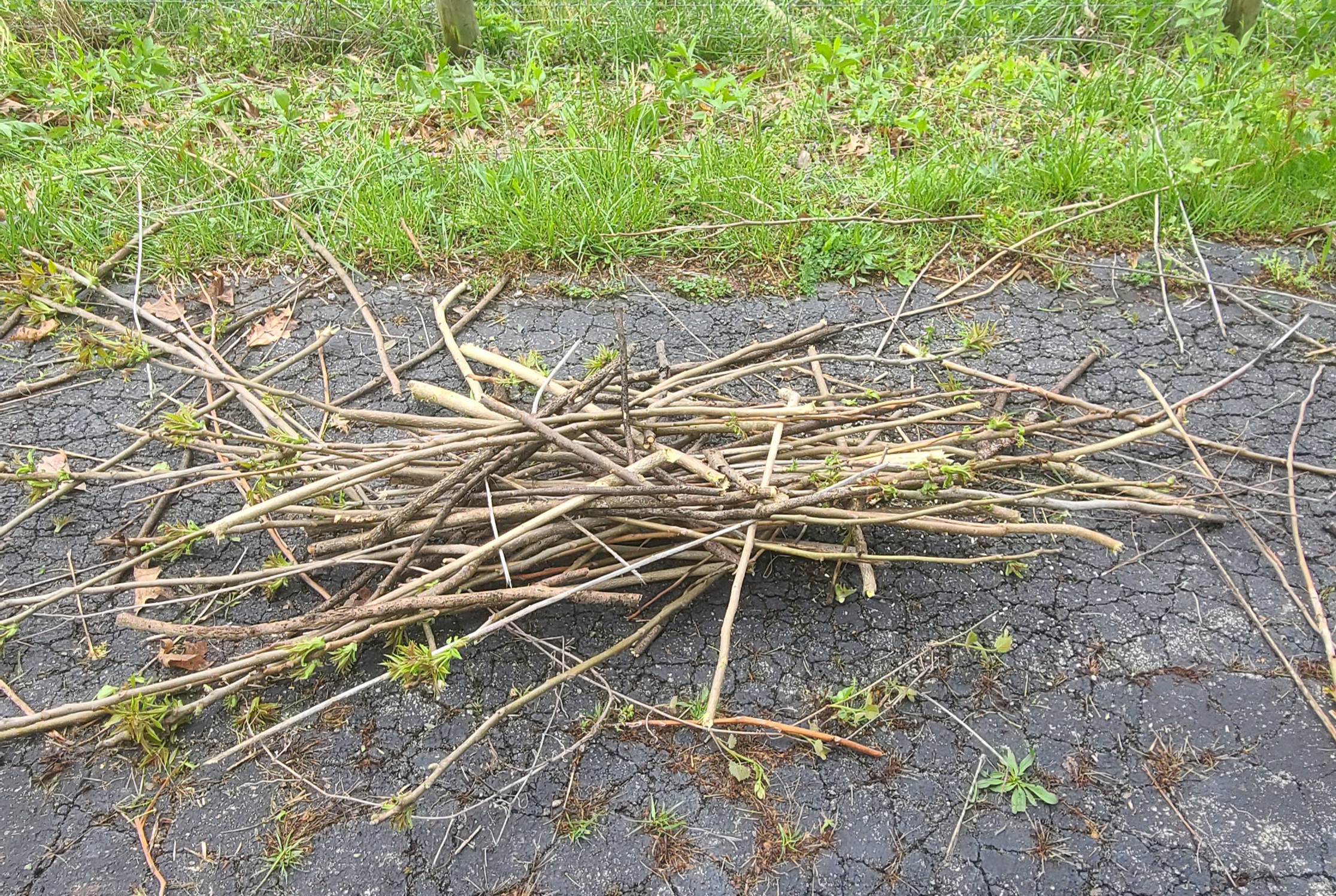 Sticks Blank Meme Template