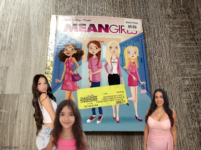 Life is No Burn Book | image tagged in mean girls,paramount,movie,lindsay lohan,2000s,nostalgia | made w/ Imgflip meme maker