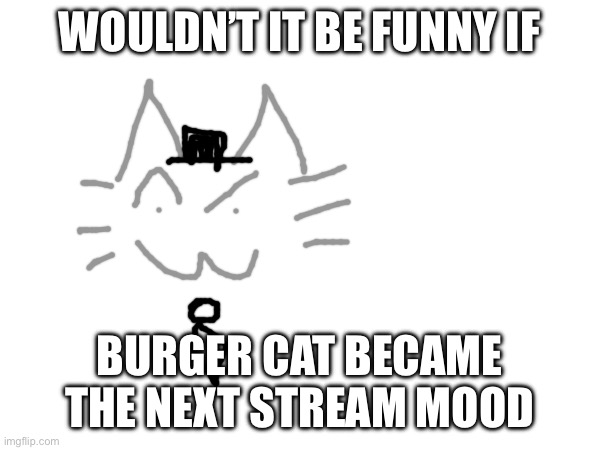 WOULDN’T IT BE FUNNY IF; BURGER CAT BECAME THE NEXT STREAM MOOD | made w/ Imgflip meme maker