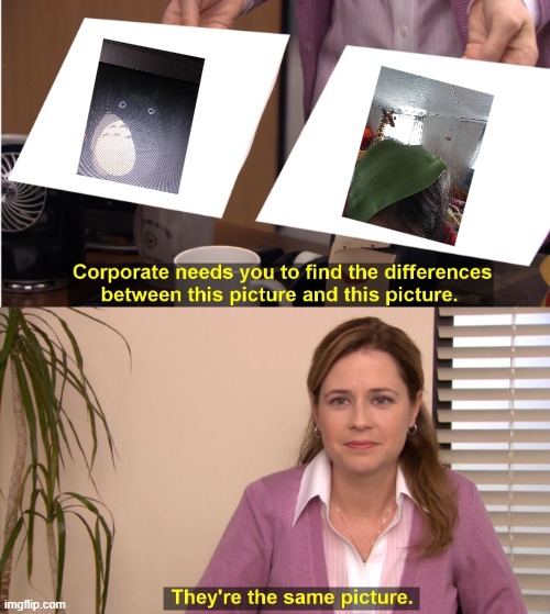i love totoro | image tagged in memes,they're the same picture | made w/ Imgflip meme maker