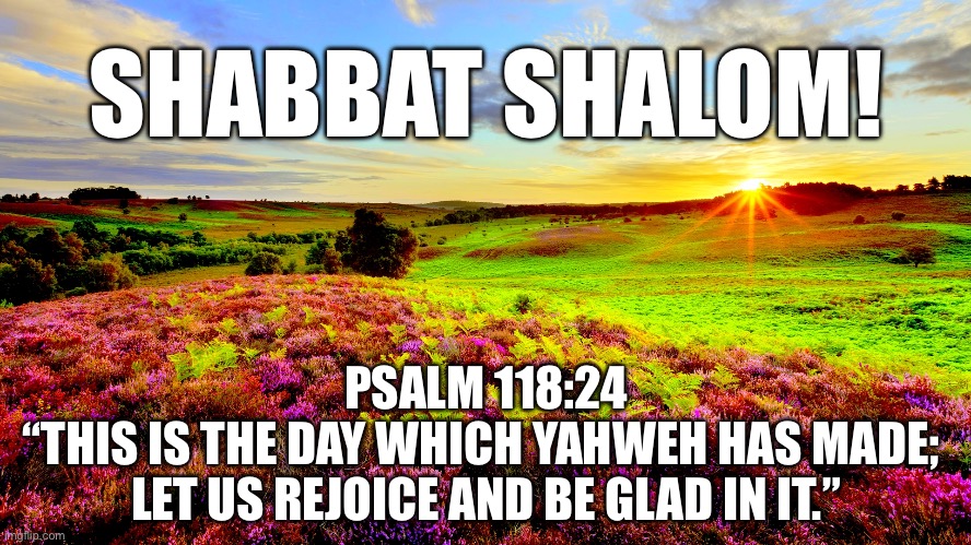 Shabbat shalom morning greeting | SHABBAT SHALOM! PSALM 118:24
“THIS IS THE DAY WHICH YAHWEH HAS MADE; 
LET US REJOICE AND BE GLAD IN IT.” | image tagged in good morning sunshine,sabbath,shabbat,shalom,christian,torah | made w/ Imgflip meme maker