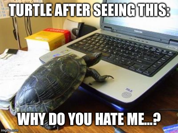 Turtle Computer | TURTLE AFTER SEEING THIS: WHY DO YOU HATE ME…? | image tagged in turtle computer | made w/ Imgflip meme maker