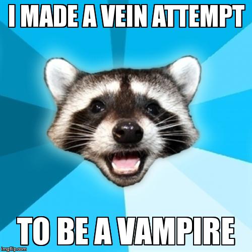 Lame Pun Coon | image tagged in memes,lame pun coon | made w/ Imgflip meme maker