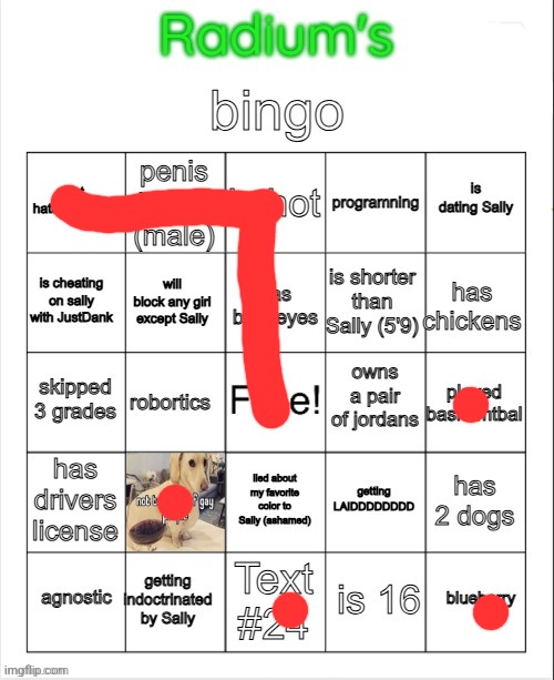Radium Bingo (Sally made this on call) | image tagged in radium bingo sally made this on call | made w/ Imgflip meme maker