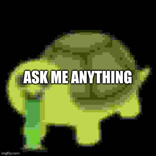 Low Quality Barfing Turtle | ASK ME ANYTHING | image tagged in low quality barfing turtle | made w/ Imgflip meme maker