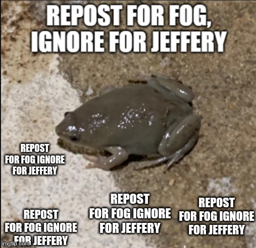 FOG | REPOST FOR FOG IGNORE FOR JEFFERY; REPOST FOR FOG IGNORE FOR JEFFERY; REPOST FOR FOG IGNORE FOR JEFFERY; REPOST FOR FOG IGNORE FOR JEFFERY | image tagged in frog | made w/ Imgflip meme maker