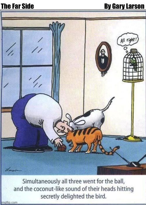 By Gary Larson; The Far Side | image tagged in comics,the far side,hilarity,head on collision,animals | made w/ Imgflip meme maker