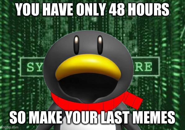 TICK TOCK… | YOU HAVE ONLY 48 HOURS; SO MAKE YOUR LAST MEMES | image tagged in glitch in the matrix | made w/ Imgflip meme maker