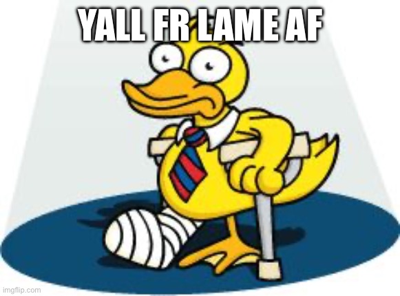 Lame Duck | YALL FR LAME AF | image tagged in lame duck | made w/ Imgflip meme maker