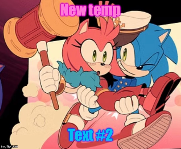 Sonic bridal carry | New temp; Text #2 | image tagged in sonic bridal carry | made w/ Imgflip meme maker