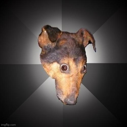 Depression Dog Meme | image tagged in memes,depression dog | made w/ Imgflip meme maker