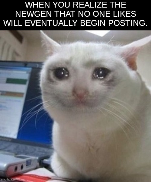 Crying cat | WHEN YOU REALIZE THE NEWGEN THAT NO ONE LIKES WILL EVENTUALLY BEGIN POSTING. | image tagged in crying cat | made w/ Imgflip meme maker