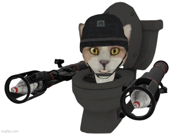 skibidikitty | image tagged in skibidikitty | made w/ Imgflip meme maker