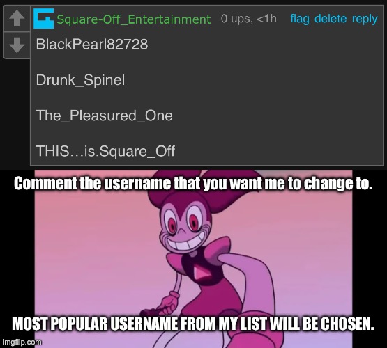 Comment the username that you want me to change to. MOST POPULAR USERNAME FROM MY LIST WILL BE CHOSEN. | image tagged in event template | made w/ Imgflip meme maker