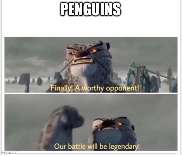 Finally! A worthy opponent! | PENGUINS | image tagged in finally a worthy opponent | made w/ Imgflip meme maker