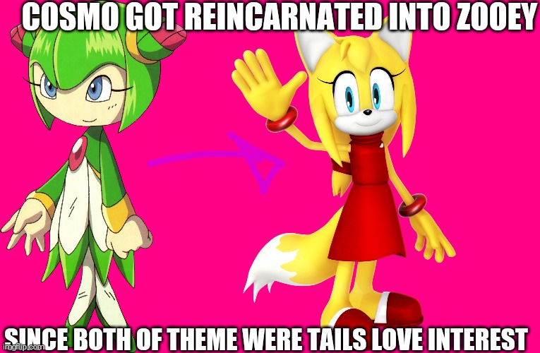 Zooey is a Reincarnated cosmo and there is nothing you can do to prove me wrong >:) | COSMO GOT REINCARNATED INTO ZOOEY; SINCE BOTH OF THEME WERE TAILS LOVE INTEREST | image tagged in zooey,cosmo,sonic x,guys i have a theory | made w/ Imgflip meme maker
