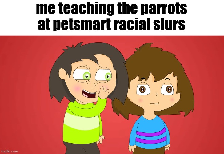 me teaching the parrots at petsmart racial slurs | made w/ Imgflip meme maker