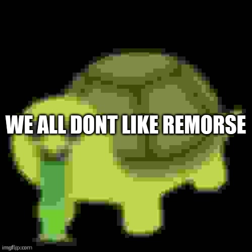 Low Quality Barfing Turtle | WE ALL DONT LIKE REMORSE | image tagged in low quality barfing turtle | made w/ Imgflip meme maker