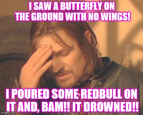 Frustrated Boromir Meme | I SAW A BUTTERFLY ON THE GROUND WITH NO WINGS! I POURED SOME REDBULL ON IT AND, BAM!! IT DROWNED!! | image tagged in memes,frustrated boromir | made w/ Imgflip meme maker