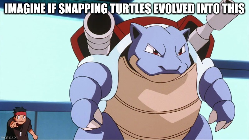 were cooked | IMAGINE IF SNAPPING TURTLES EVOLVED INTO THIS | image tagged in blastoise | made w/ Imgflip meme maker