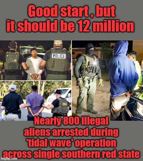 SELF DEPORT NOW | Good start , but it should be 12 million; Nearly 800 illegal aliens arrested during 'tidal wave' operation across single southern red state | made w/ Imgflip meme maker