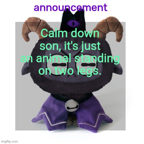 ermmmm ummmm idkkkk | Calm down son, it's just an animal standing on two legs. | image tagged in ermmmm ummmm idkkkk | made w/ Imgflip meme maker