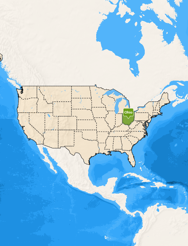 Ohio quizzz Blank Meme Template