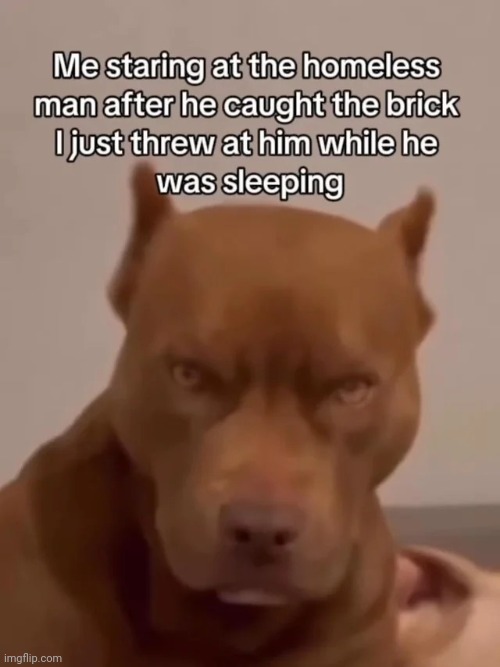 image tagged in memes,msmg,shitpost | made w/ Imgflip meme maker