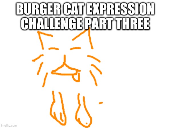 BURGER CAT EXPRESSION CHALLENGE PART THREE | made w/ Imgflip meme maker