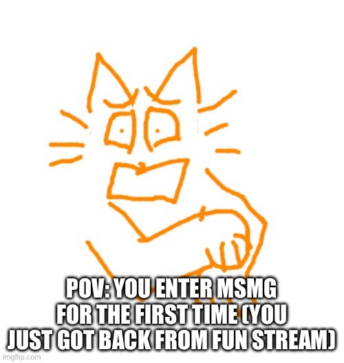 Scared burger cat | POV: YOU ENTER MSMG FOR THE FIRST TIME (YOU JUST GOT BACK FROM FUN STREAM) | image tagged in scared burger cat | made w/ Imgflip meme maker