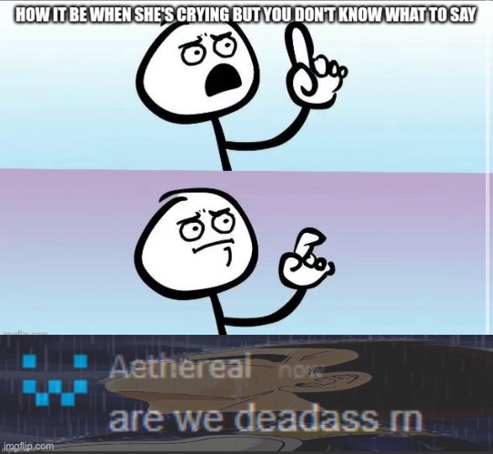 The first meme I see is a fun stream meme why did I even bother | image tagged in are we deadass rn | made w/ Imgflip meme maker