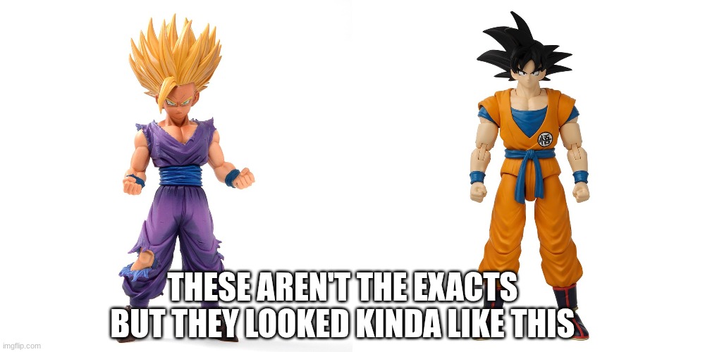 THESE AREN'T THE EXACTS BUT THEY LOOKED KINDA LIKE THIS | made w/ Imgflip meme maker