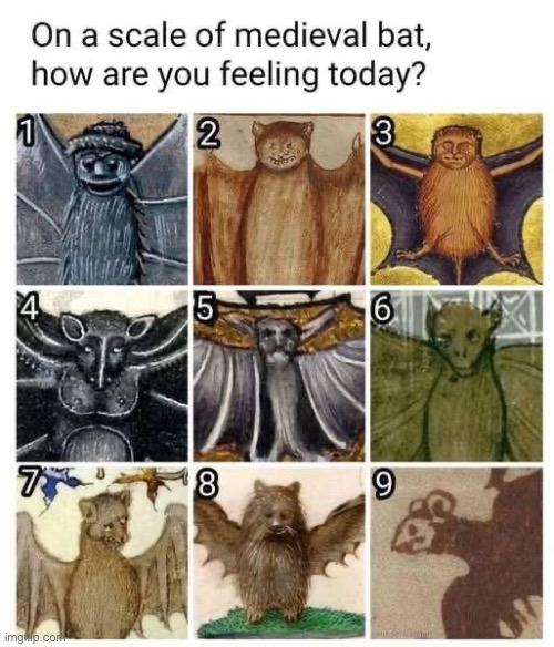 Bat | image tagged in bats | made w/ Imgflip meme maker
