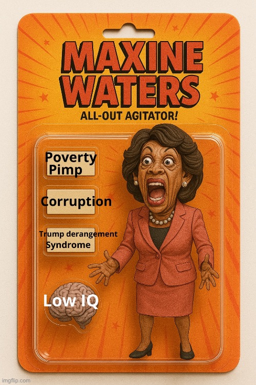 image tagged in maxine waters,democrat,liberal logic,democratic party,trump derangement syndrome,memes | made w/ Imgflip meme maker