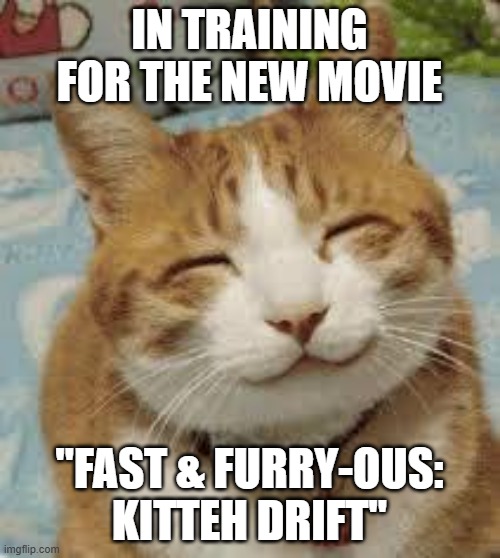 Happy cat | IN TRAINING FOR THE NEW MOVIE "FAST & FURRY-OUS: KITTEH DRIFT" | image tagged in happy cat | made w/ Imgflip meme maker