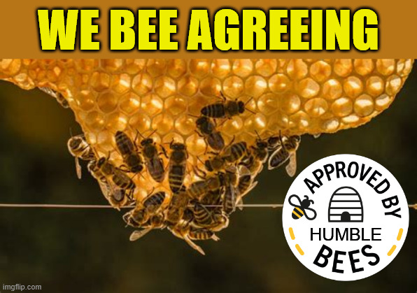 ◄►Reaction by bees: We be agreeing; approved by humble bees | WE BEE AGREEING ███████ HUMBLE | image tagged in bees,approves,comment,reaction | made w/ Imgflip meme maker