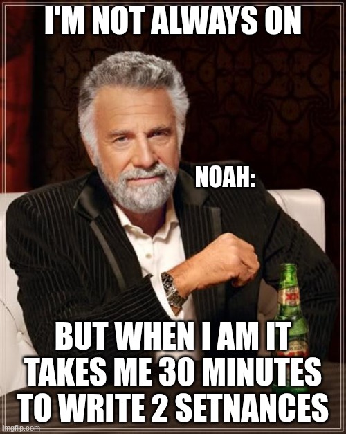 Noah be like | I'M NOT ALWAYS ON; NOAH:; BUT WHEN I AM IT TAKES ME 30 MINUTES TO WRITE 2 SETNANCES | image tagged in memes,the most interesting man in the world | made w/ Imgflip meme maker