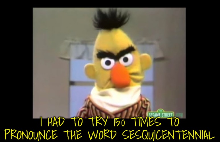 150 Times!! | I HAD TO TRY 150 TIMES TO PRONOUNCE THE WORD SESQUICENTENNIAL | image tagged in angry bert,bad joke | made w/ Imgflip meme maker