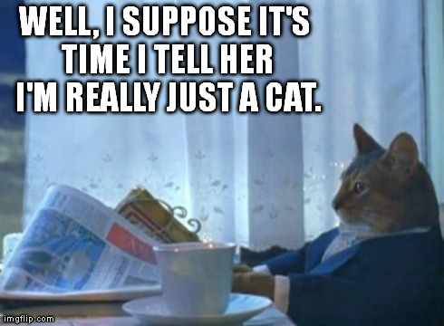 I Should Buy A Boat Cat | WELL, I SUPPOSE IT'S TIME I TELL HER I'M REALLY JUST A CAT. | image tagged in memes,i should buy a boat cat | made w/ Imgflip meme maker