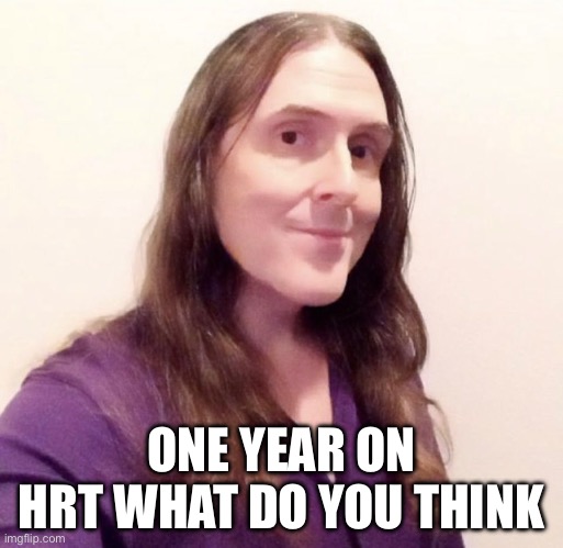 ONE YEAR ON HRT WHAT DO YOU THINK | image tagged in al art | made w/ Imgflip meme maker