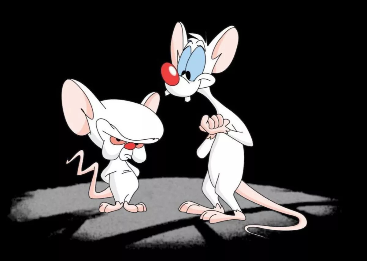 Pinky and the Brain Blank Meme Template