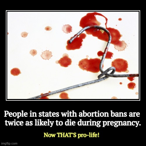 If you think you're preserving life, you're not. | People in states with abortion bans are 

twice as likely to die during pregnancy. | Now THAT'S pro-life! | image tagged in demotivationals,abortion,dead,women,wives,daughters | made w/ Imgflip demotivational maker